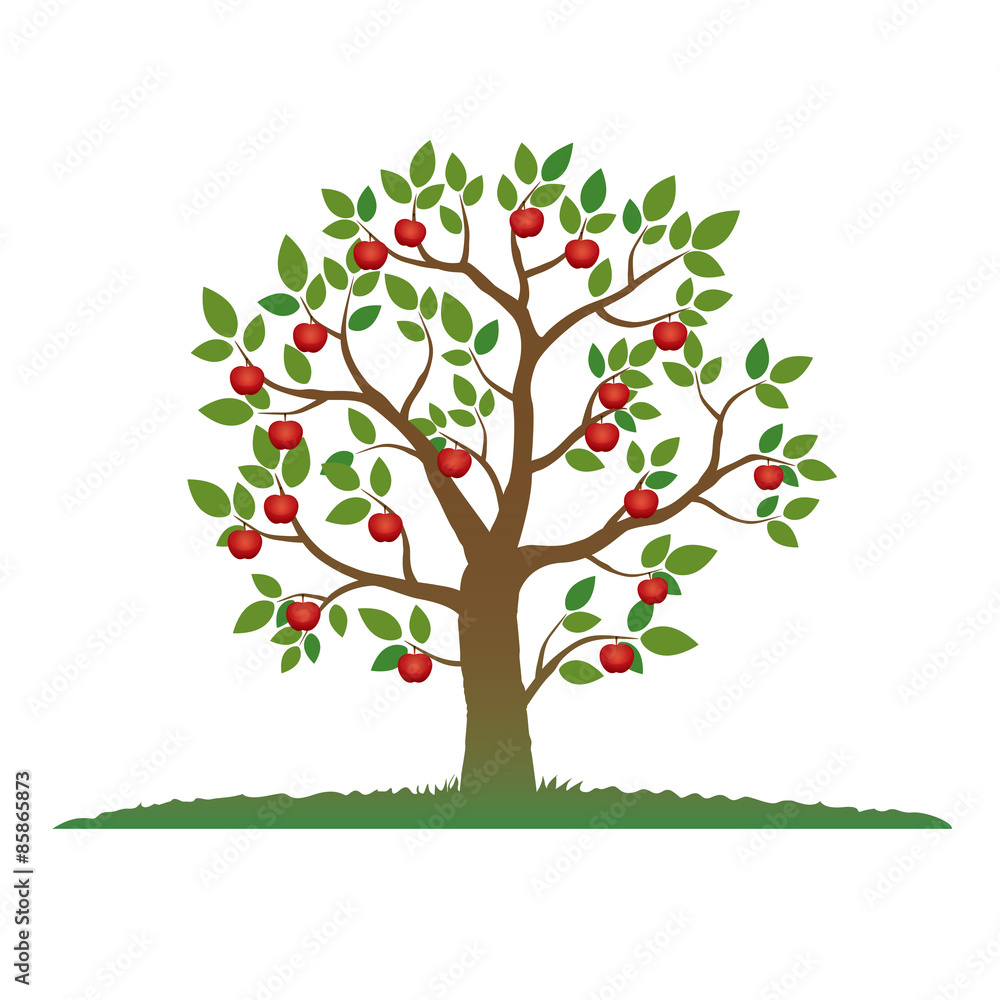 Naklejka Ilustracja koloru drzewo i jabłko.
