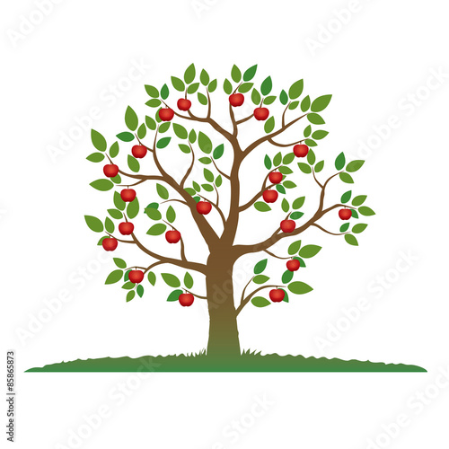Illustration of Color Tree and Apple.