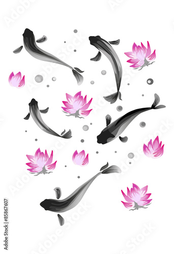 Ink Koi carp illustration. Vector image.