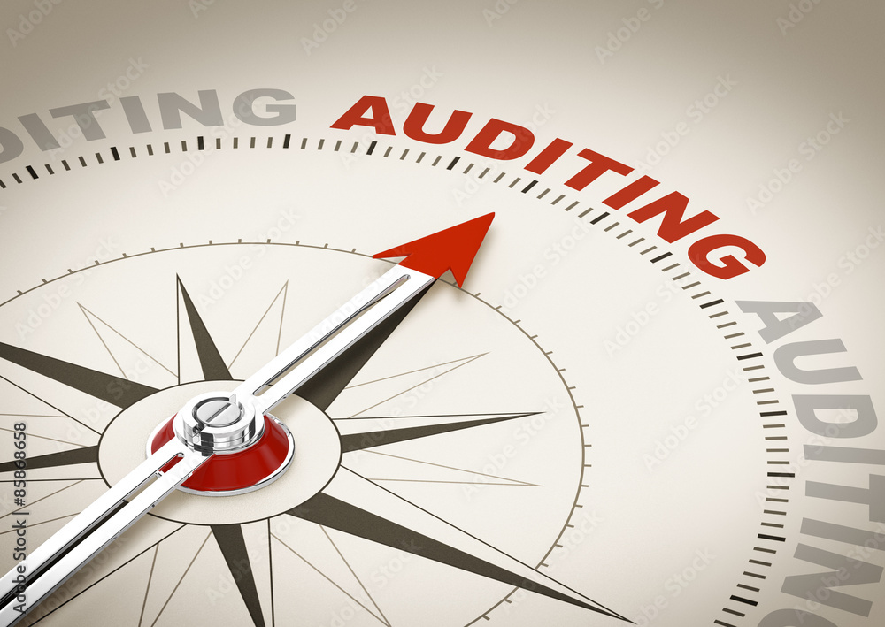 Auditing Auditing