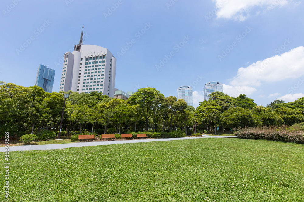 幕張の新緑の公園から高層ビジネスビル街を臨む 幕張の新緑の公園から高層ビジネスビル街を臨む