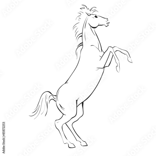 Vector illustration sketch a horse
