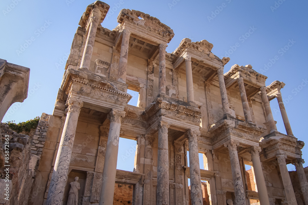 Obraz premium Daisies in a field