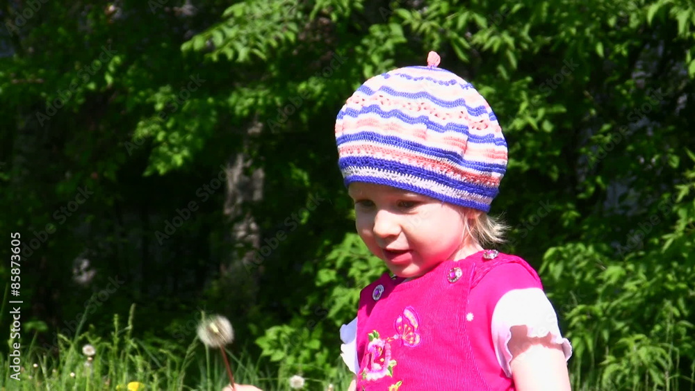 The small child blows on a dandelion
The small child blows on a dandelion