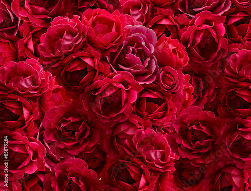Bush of red rose flowers background #85879284