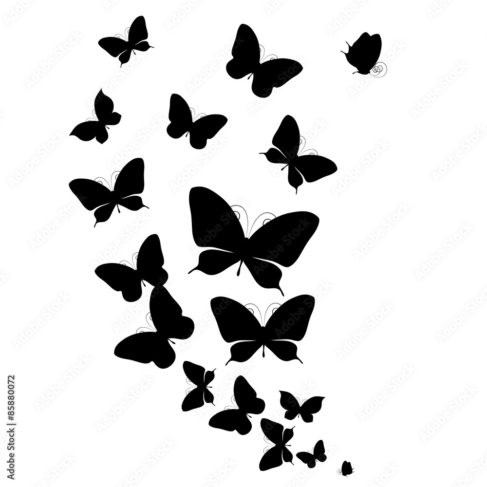 butterflies design butterflies design