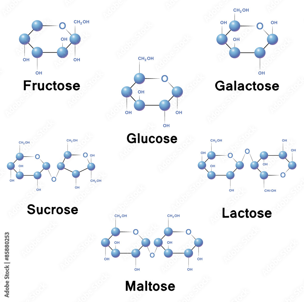 Sugar molecules Stock Vector Adobe Stock