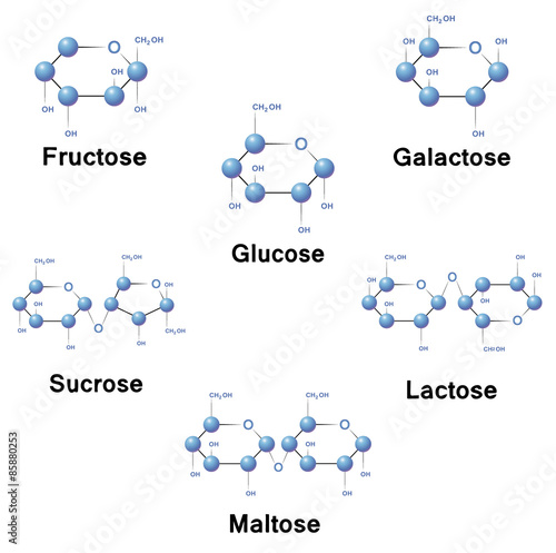 Sugar molecules photo