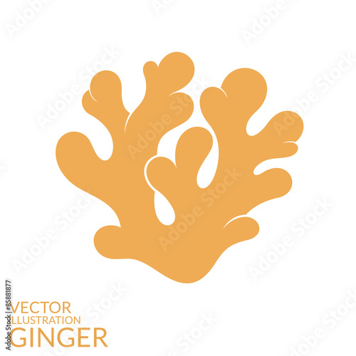 Ginger