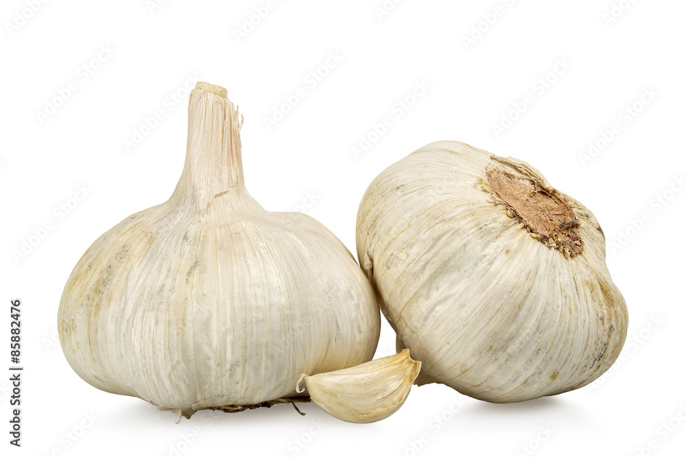 Obraz premium garlic