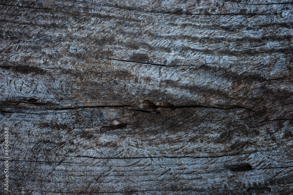 Old wood used as background Old wood used as background