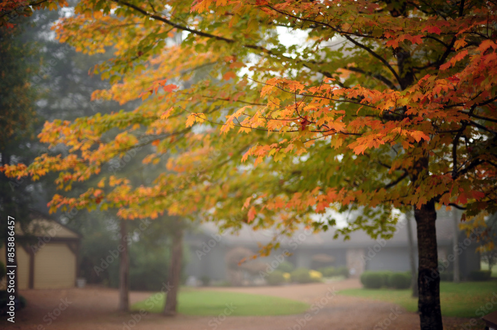 Fototapeta premium heber springs,arkansas