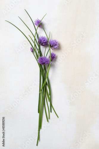 chive