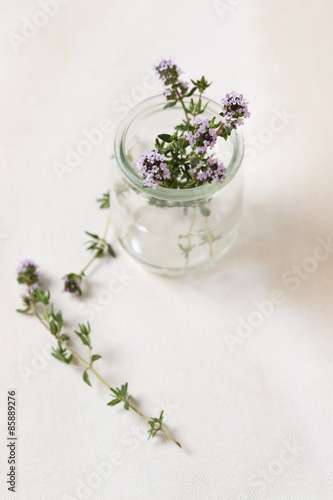 thyme