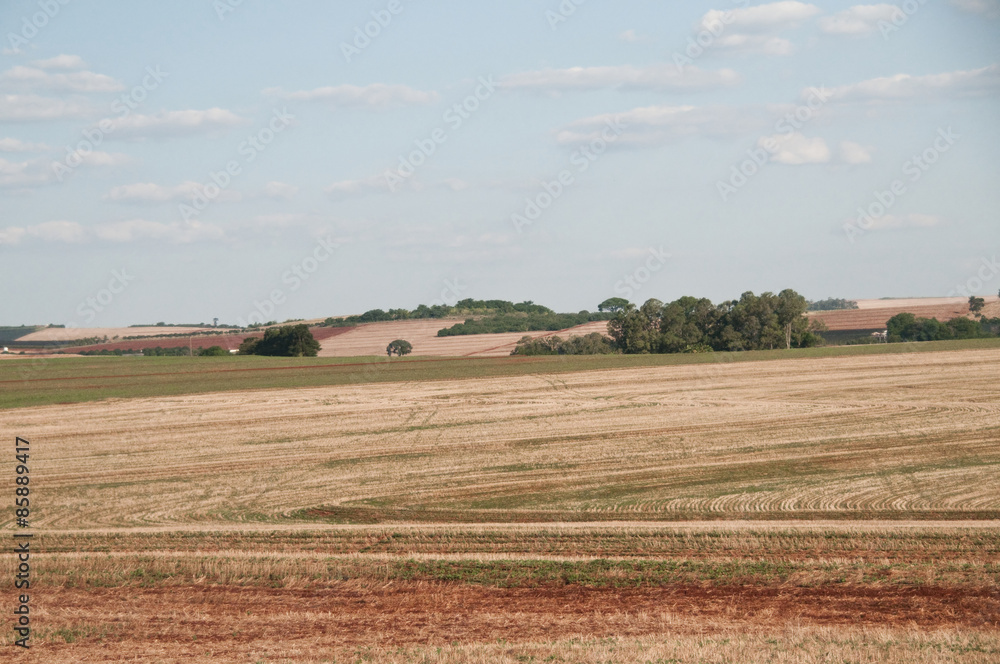 Obraz premium Marialva, Paraná