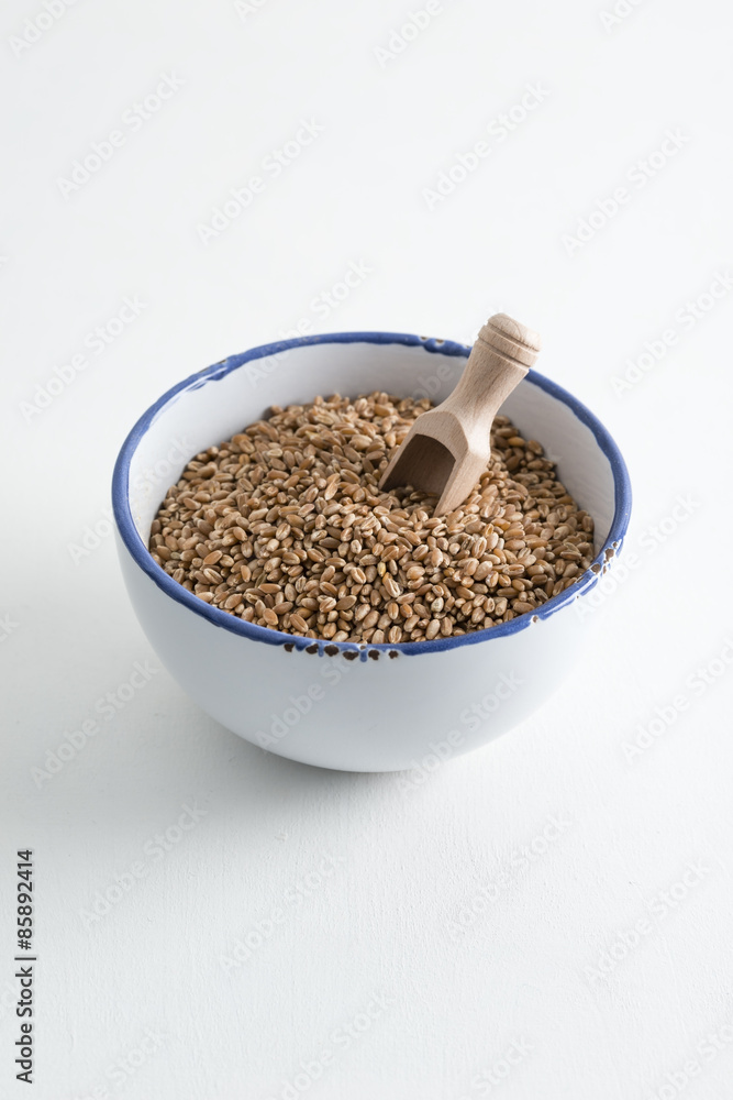 wheat wheat