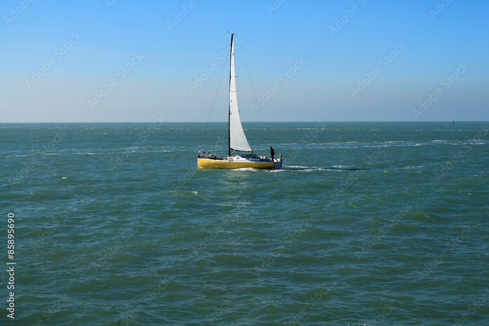 Naklejka premium Promenade en voilier au Havre, France