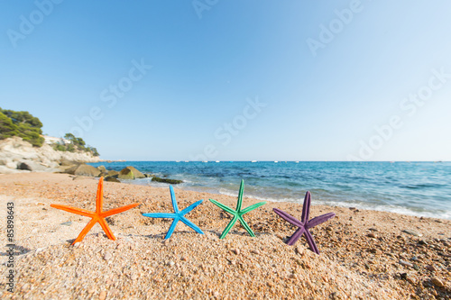 Starfishes at the beach