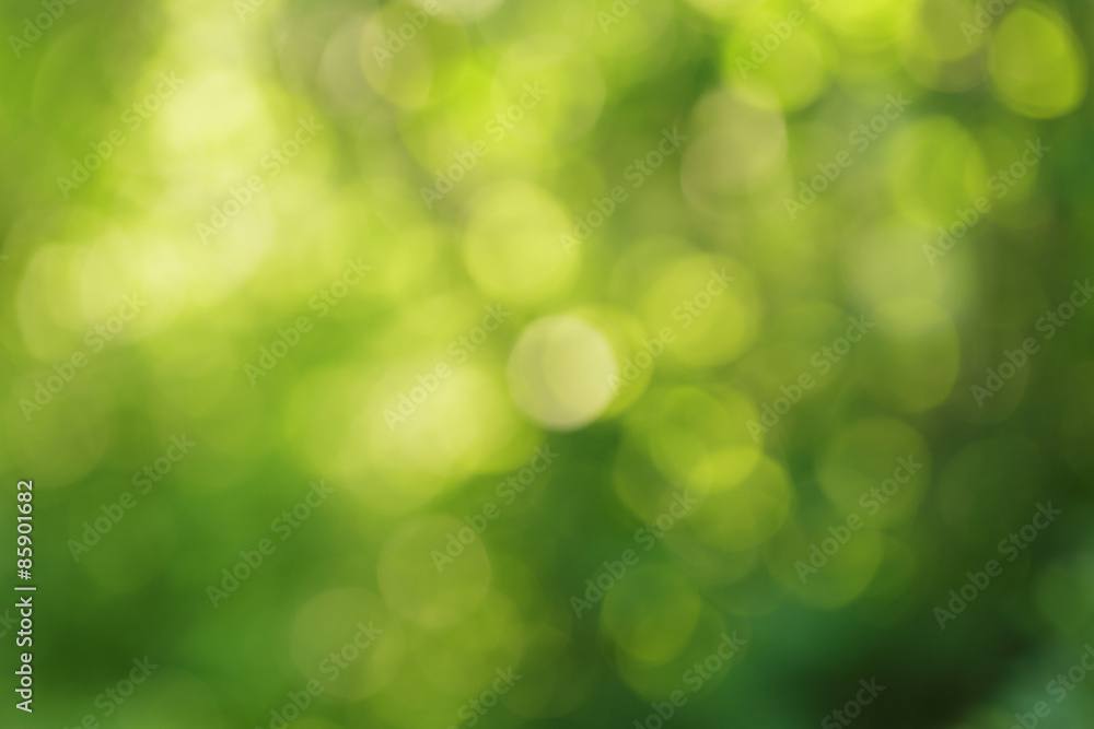 Obraz premium natural green summer bokeh background