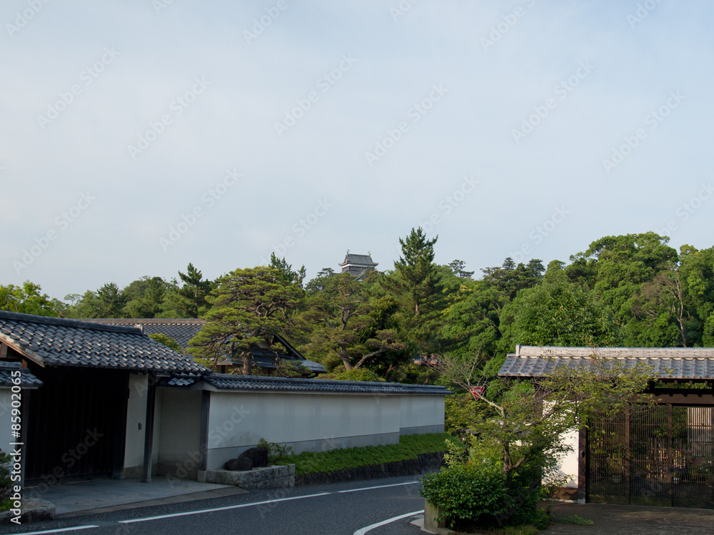 朝日の中、松江城の天守閣を望む