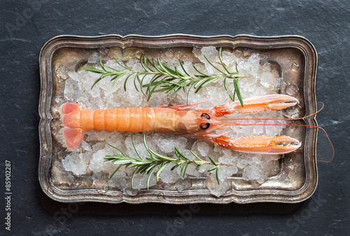 Konstfotografi Raw langoustine and rosemary on ice