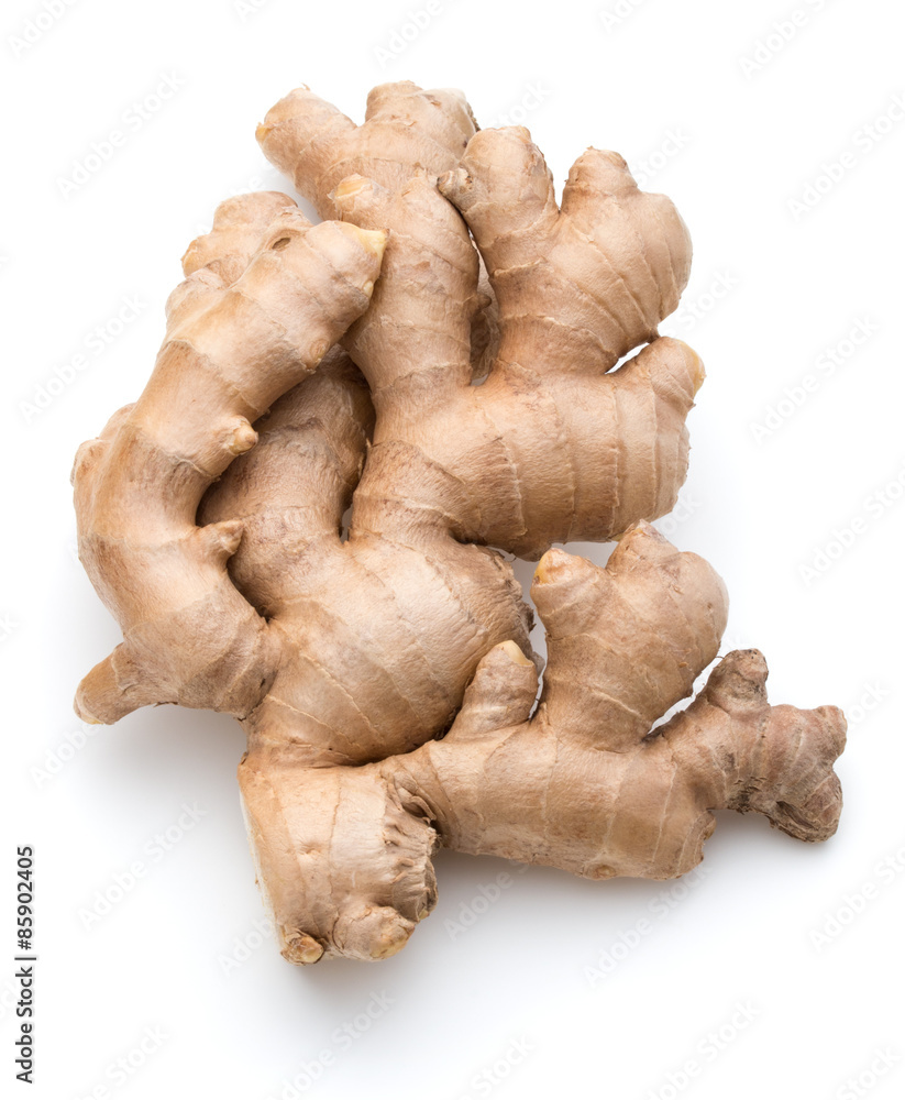 Fresh ginger root or rhizome isolated on white background cutout Fresh ginger root or rhizome isolated on white background cutout
