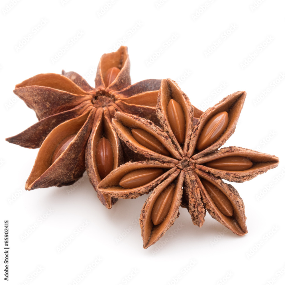 Star anise spice fruits and seeds isolated on white background c Star anise spice fruits and seeds isolated on white background c