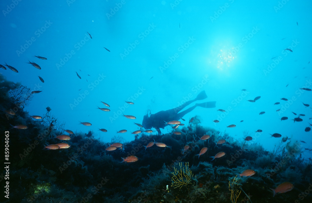 Fototapeta premium Scuba in Sorrento