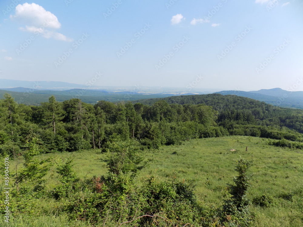 Fototapeta premium Landscape