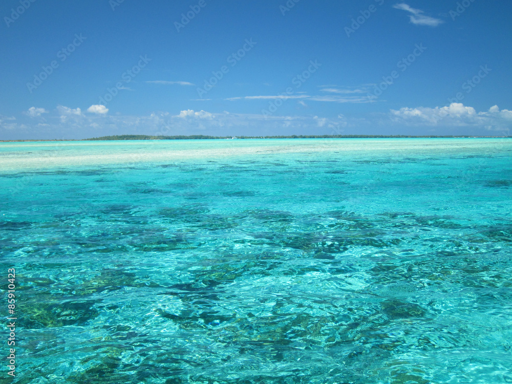 tropical reef and sandbar