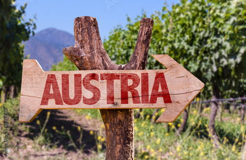 Austria wooden sign with winery background