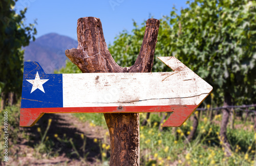 Chile Flag wooden sign with winery background photo