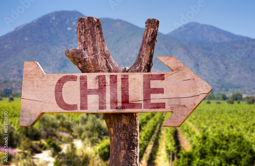Quadro su tela Chile wooden sign with winery background