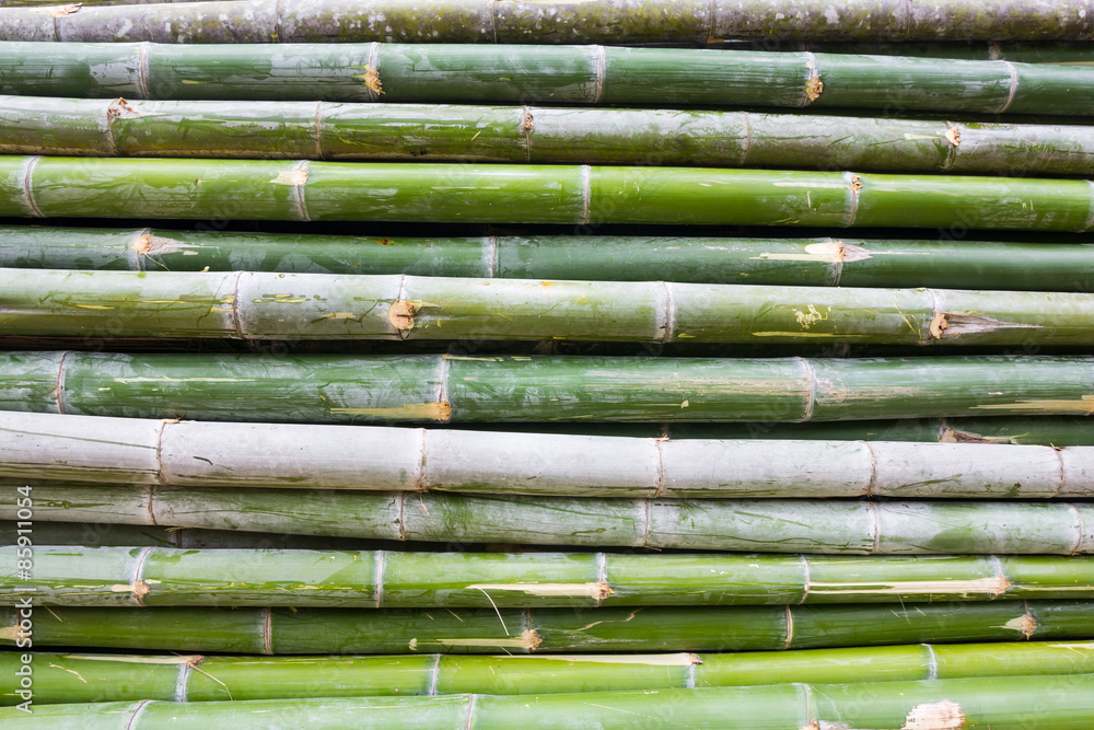 Pile of bamboo stalks Pile of bamboo stalks