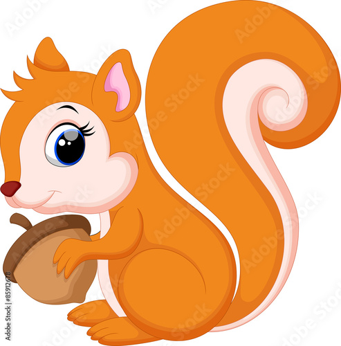 Cute squirrel cartoon