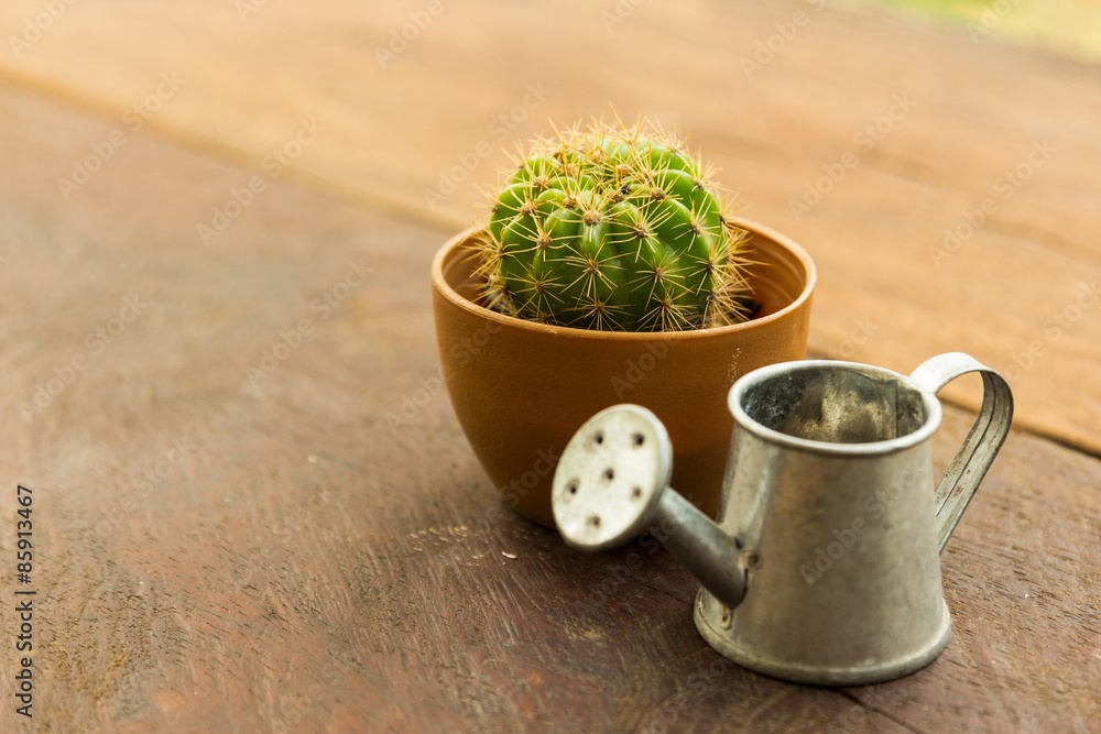 Cactus pot and Watering can model Cactus pot and Watering can model