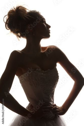Fashion brides silhouette