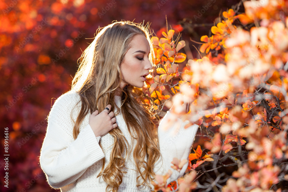 young woman on a background of red and yellow autumn leaves with young woman on a background of red and yellow autumn leaves with