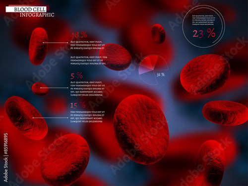 Blood Cell infographic