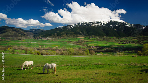 Cerdanya i cavalls / Horses in a mountain valley (Pirineus / Pyrenees / Pirineos)