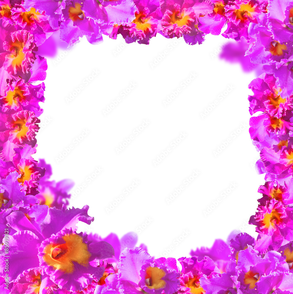 Frame of Beauty Pink Orchids