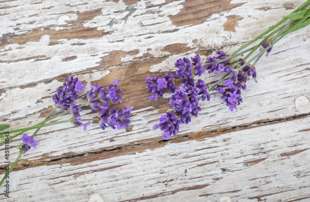 Fototapeta premium Lavender on rustic wood background