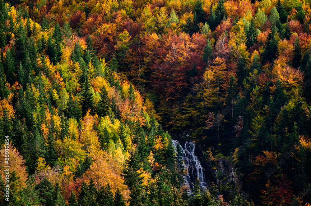 Cascada en Ordesa, Bujaruelo (Pirineos / Pyrénées) Cascada en Ordesa, Bujaruelo (Pirineos / Pyrénées)
