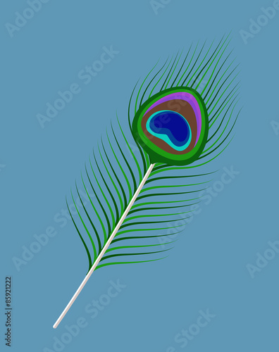Peacock Feather Vector clipart