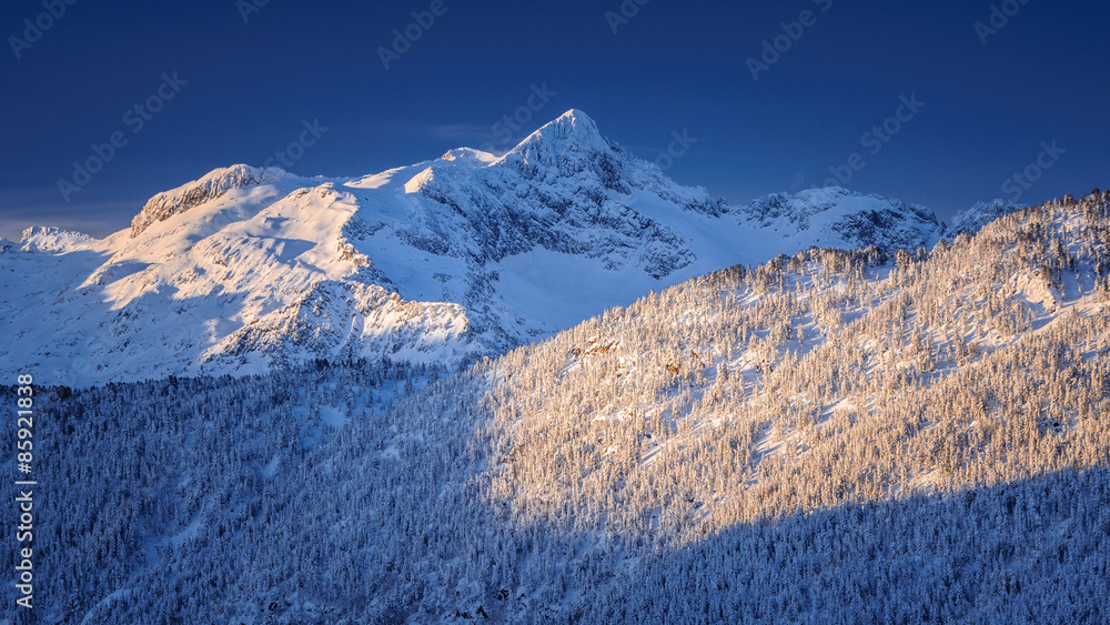 Fototapeta premium Montardo d'Aran (Valle de Aran, Pirineos / Pyrenees)