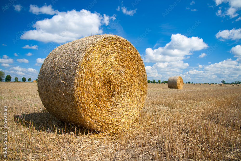 Round bale of straw on a field, blue sky in the background.