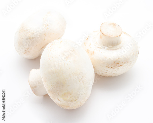 Champignon mushroom white agaricus