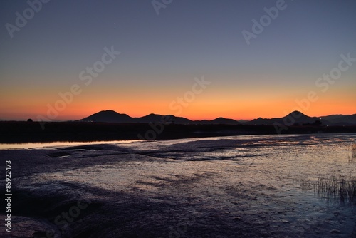 Wallpaper Mural Sunset of Reeds field in Suncheon Bay in Korea Torontodigital.ca
