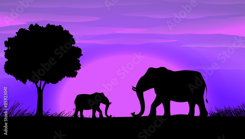 Silhouette Elephants