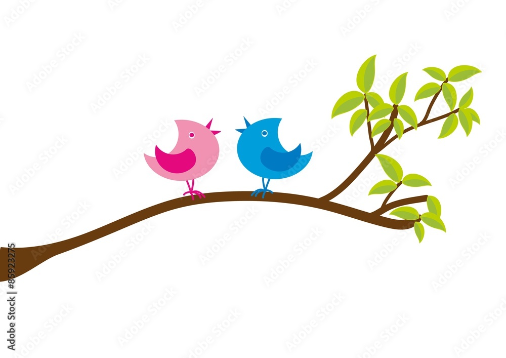 Fototapeta premium sowa